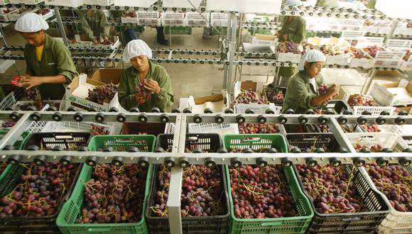 Agroexportaciones crecieron 24.5% en enero